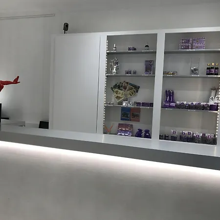 Le Capitole Toulouse